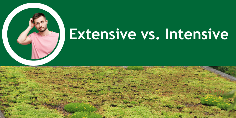 Extensive vs. Intensive Dachbegrünung: Ein Blick auf die Unterschiede