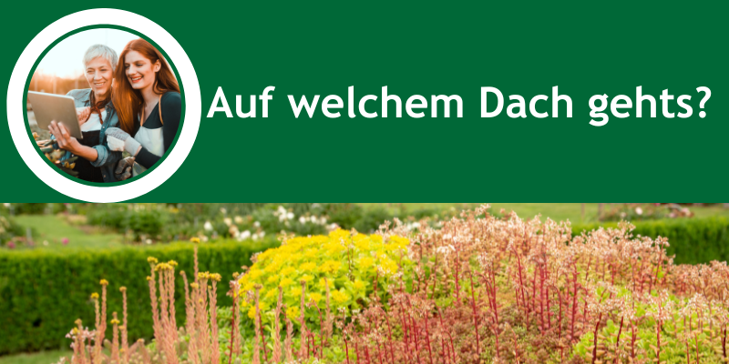 Welches Dach eignet sich für Dachbegrünung in Ratingen